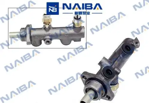251611021C CALIPERE+ NAIBA
