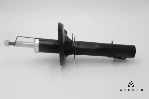 AMT00139 ATECSO