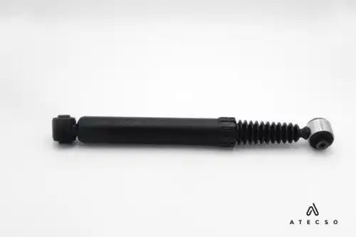 AMT00207 ATECSO