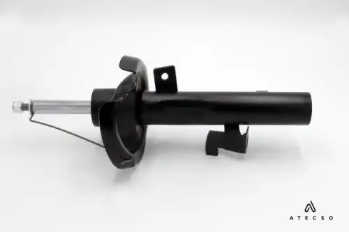 AMT00202 ATECSO
