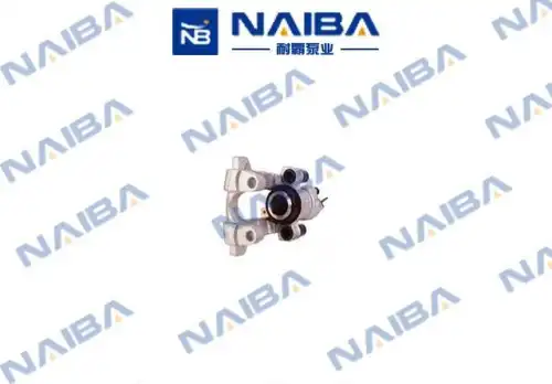 C582L CALIPERE+ NAIBA