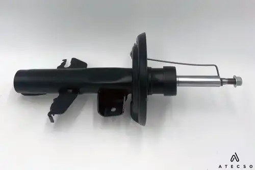 AMT00391 ATECSO