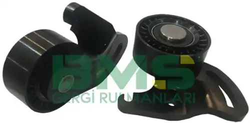 BMS 315 BMS