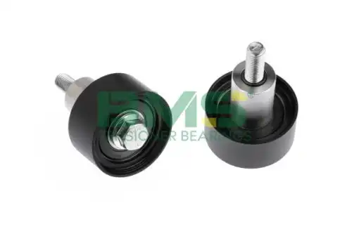 BMS 423 BMS