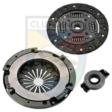 MCK1873 CLUTCHNUS
