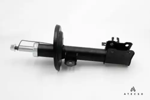 AMT00203 ATECSO