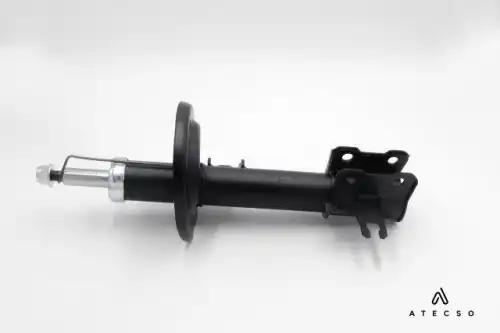 AMT00204 ATECSO