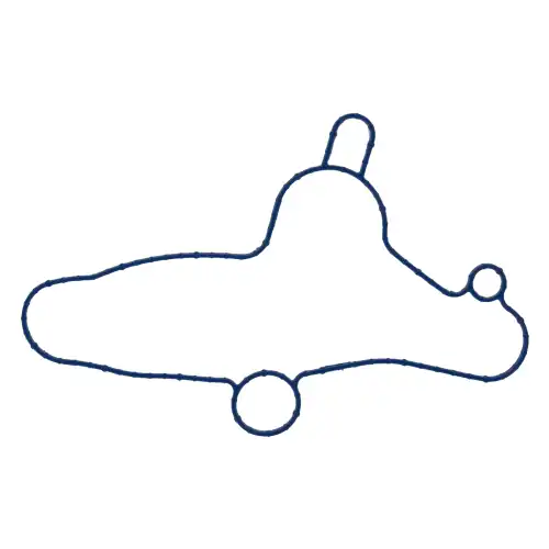 Gasket, water pump 35989 FELPRO