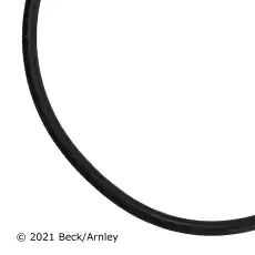 Seal Ring 039-6493 BECK/ARNLEY