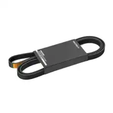 RIDEX 305P0438