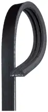 GATES 3PK771SF