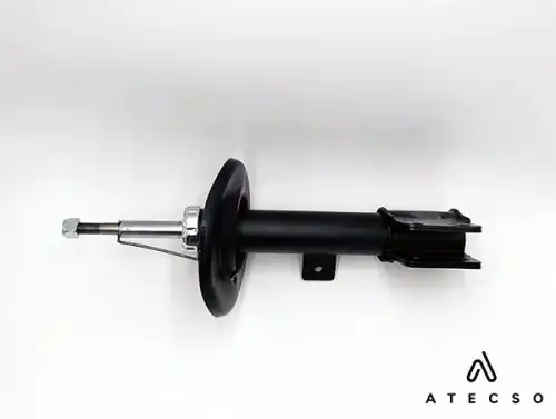 amt00294 atecso
