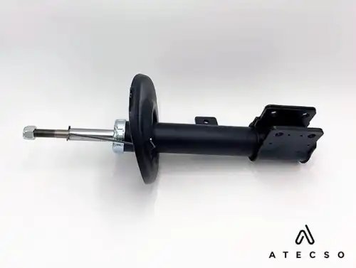 amt00295 atecso