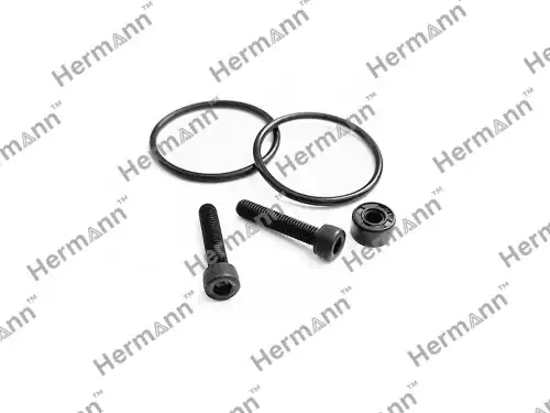 Кольцо уплотнительное автомобильное HERMANN HR0AY598305KIT