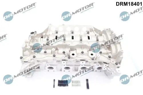 Головка цилиндра DRM18401 DR. MOTOR