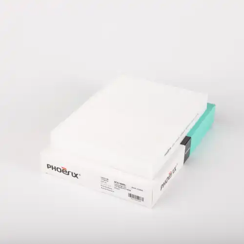 Салонный фильтр PHOENIX FILTER NCN-16009L