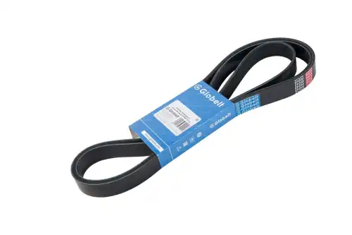 GLOBELT 8PK2113 Truck