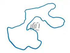 Прокладка клапанной крышки UMPRO GGA0038
