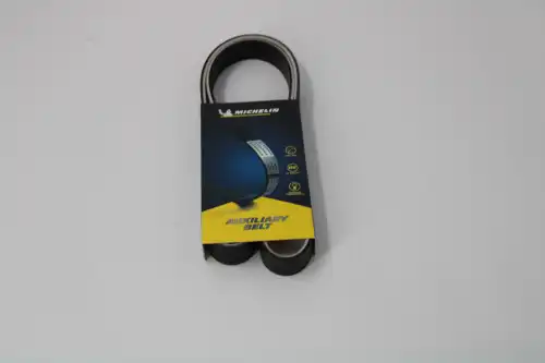 MICHELIN 6PK1038