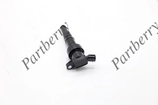 Катушка зажигания PARTBERRY PB1115513