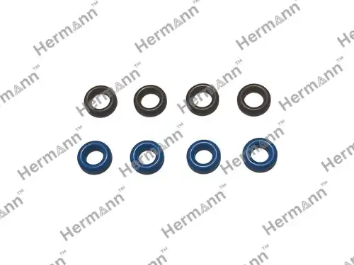 Ремк-т на 4 форсунки HR1465A080 HERMANN