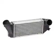 Интеркулер RIDEX 468I0325