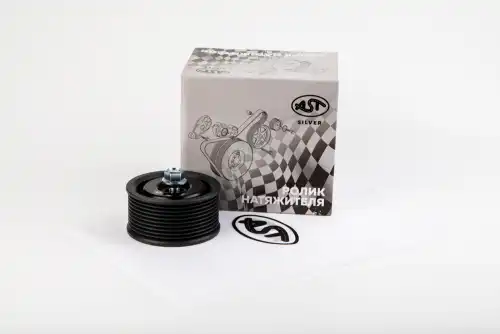Ролик обводной WP12 E3 10PK (612630060004) AST Silver