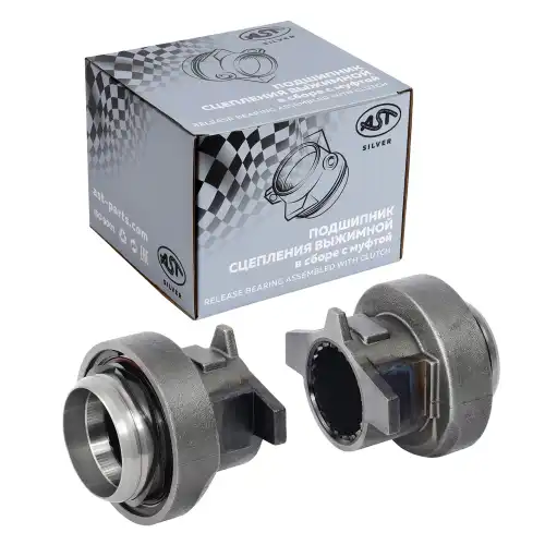AST SILVER DZ9114160044
