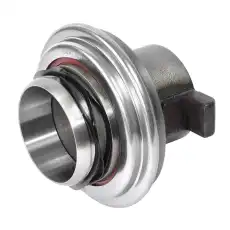AST SILVER DZ911210015