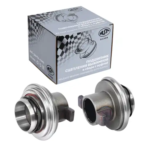 AST SILVER DZ911210015