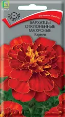 https://img.armtek.ru/img/article/763/76353843/230x230/76353843_0.webp