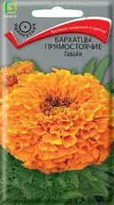 https://img.armtek.ru/img/article/763/76353845/230x230/76353845_0.webp