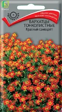 https://img.armtek.ru/img/article/763/76353848/230x230/76353848_0.webp