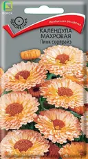 https://img.armtek.ru/img/article/763/76353868/230x230/76353868_0.webp