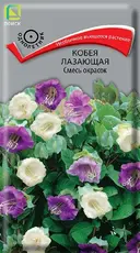 https://img.armtek.ru/img/article/763/76353874/230x230/76353874_0.webp