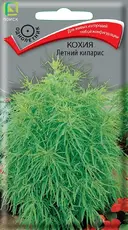 https://img.armtek.ru/img/article/763/76353881/230x230/76353881_0.webp