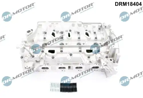 Головка цилиндра DRM18404 DR. MOTOR