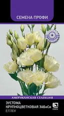 https://img.armtek.ru/img/article/764/76401334/230x230/76401334_0.webp