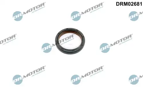 Уплотняющее кольцо, распределительный вал DRM02681 DR. MOTOR
