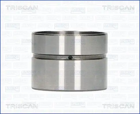 Гидрокомпенсатор TRISCAN 80-11002