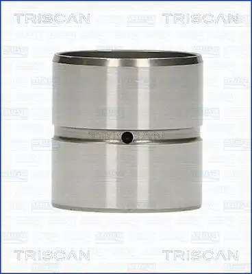 Гидрокомпенсатор TRISCAN 80-29001