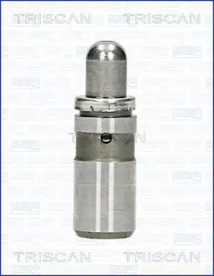 Гидрокомпенсатор TRISCAN 80-24010