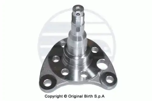 BIRTH 3374