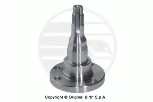 BIRTH 3249