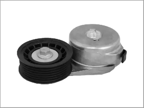 натяжитель ремня \FORD 03-1309TN DEXWAL