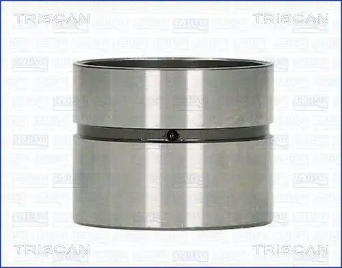 Гидрокомпенсатор TRISCAN 80-25003