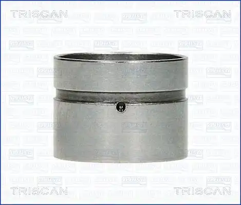 Гидрокомпенсатор TRISCAN 80-23000