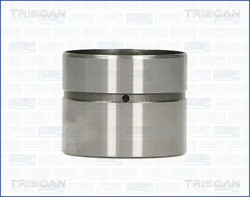 Гидрокомпенсатор TRISCAN 80-25000
