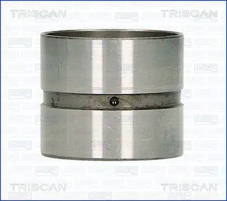 Гидрокомпенсатор TRISCAN 80-70000