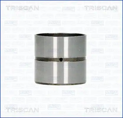 Гидрокомпенсатор TRISCAN 80-25005